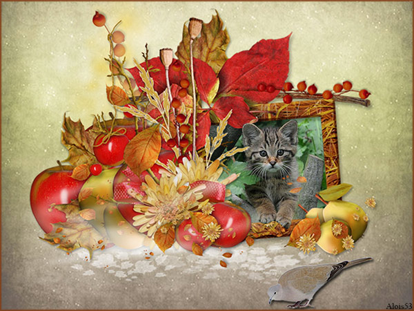 kitten-met-duif-in-herfstcl