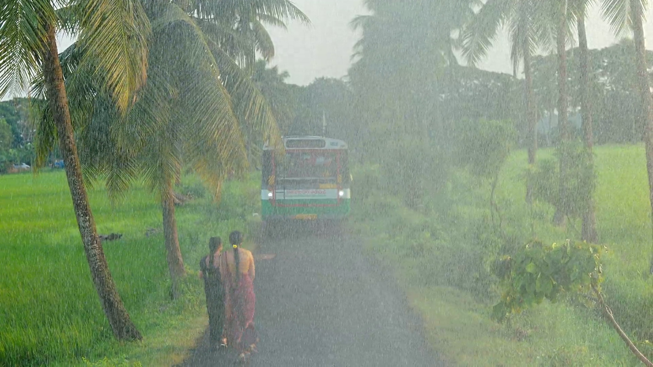 vlcsnap-2025-06-09-08h35m55s081