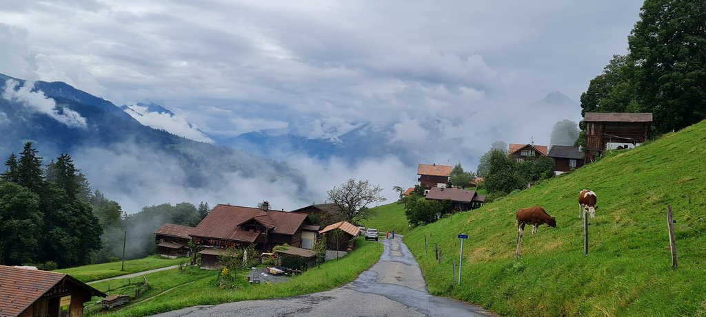 Suiza: 7 veranos, 7 planes con niños - Blogs de Suiza - GIESSBACHFÄLLE Y LUNGERN: tras los rayos de sol (16)