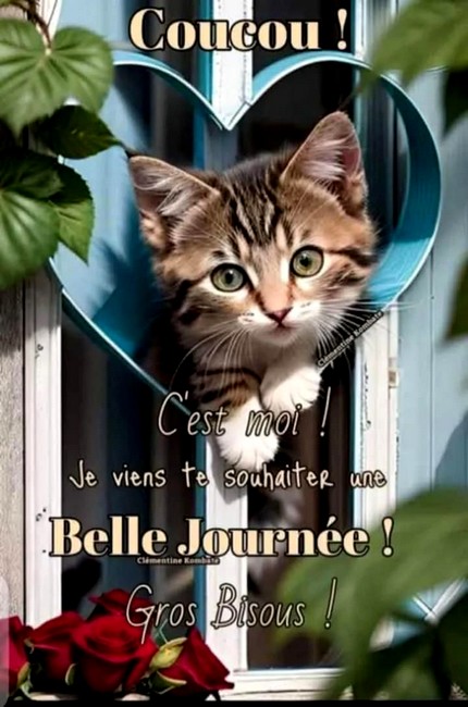 CHAT-Josiane