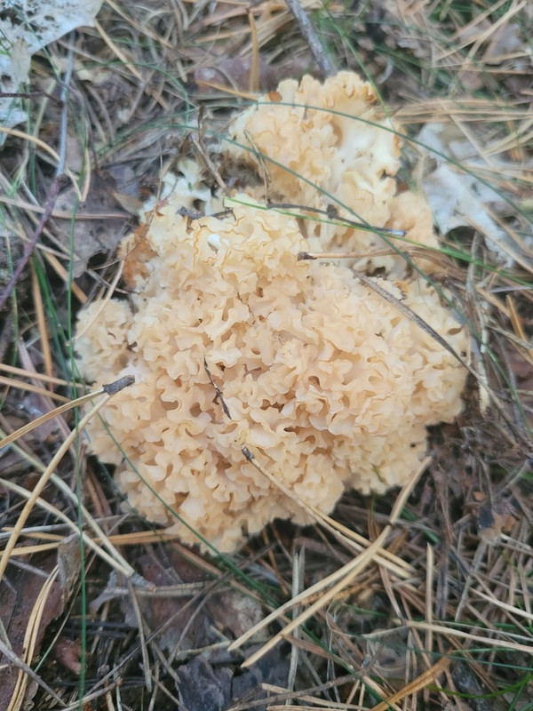 Siedzuń20250919_180418