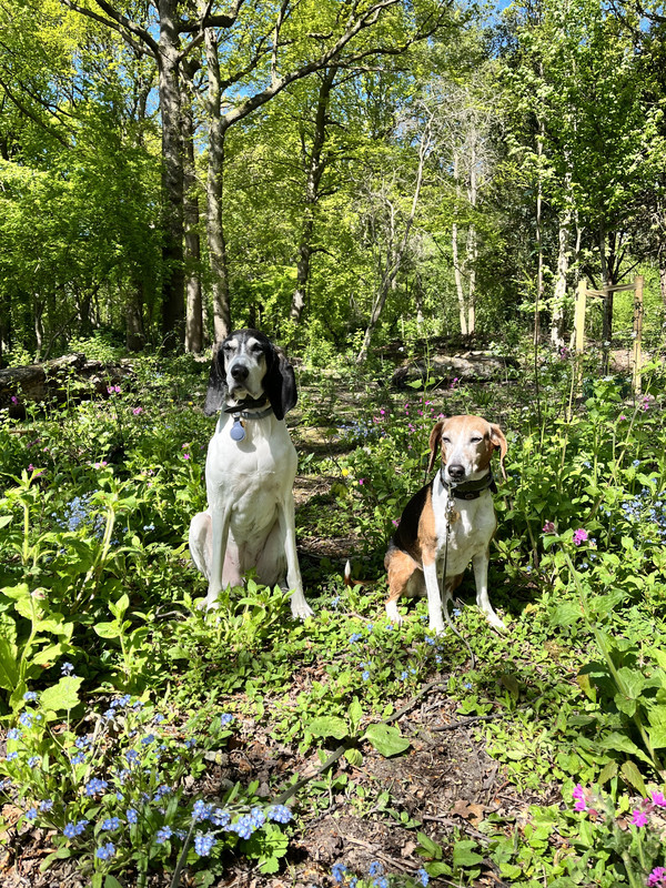 D6B089A6-EFB2-486B-9ED7-52E3EE919ED1