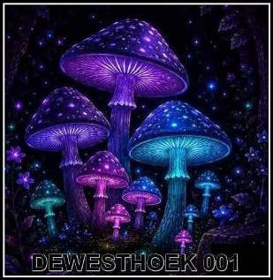 1-(13)