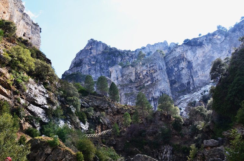 RUTA RIO BOROSA-12-3-2016-JAEN - Paseando por España-1991/2016 (118)