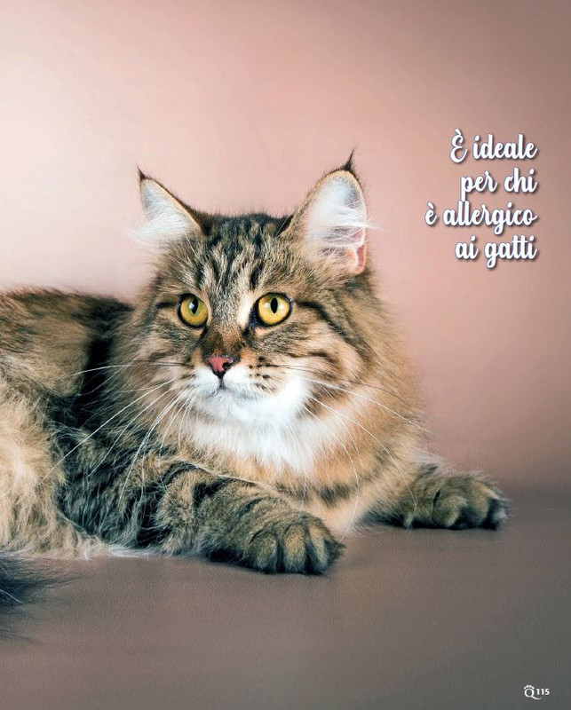 QuattroZampe Lug 2022 (12)