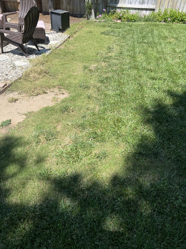 photo_2022-08-19 12.44.08