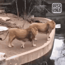 pfsf1968.gif