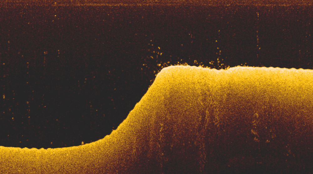 Безымянный