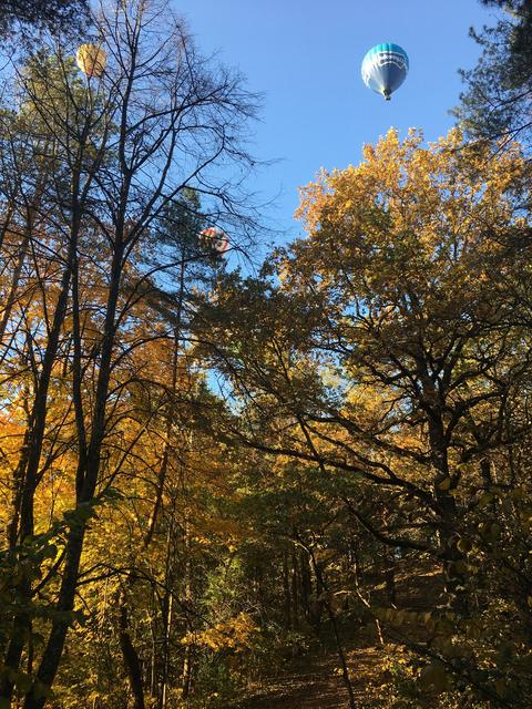 FD0-E09-CB-94-EB-4-C66-AF20-DBE69022-DEE