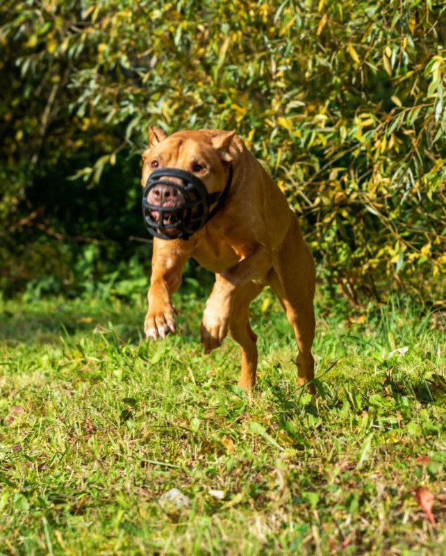 5F2F1CC2-5F87-4647-80F6-79AB5C3A7CE8