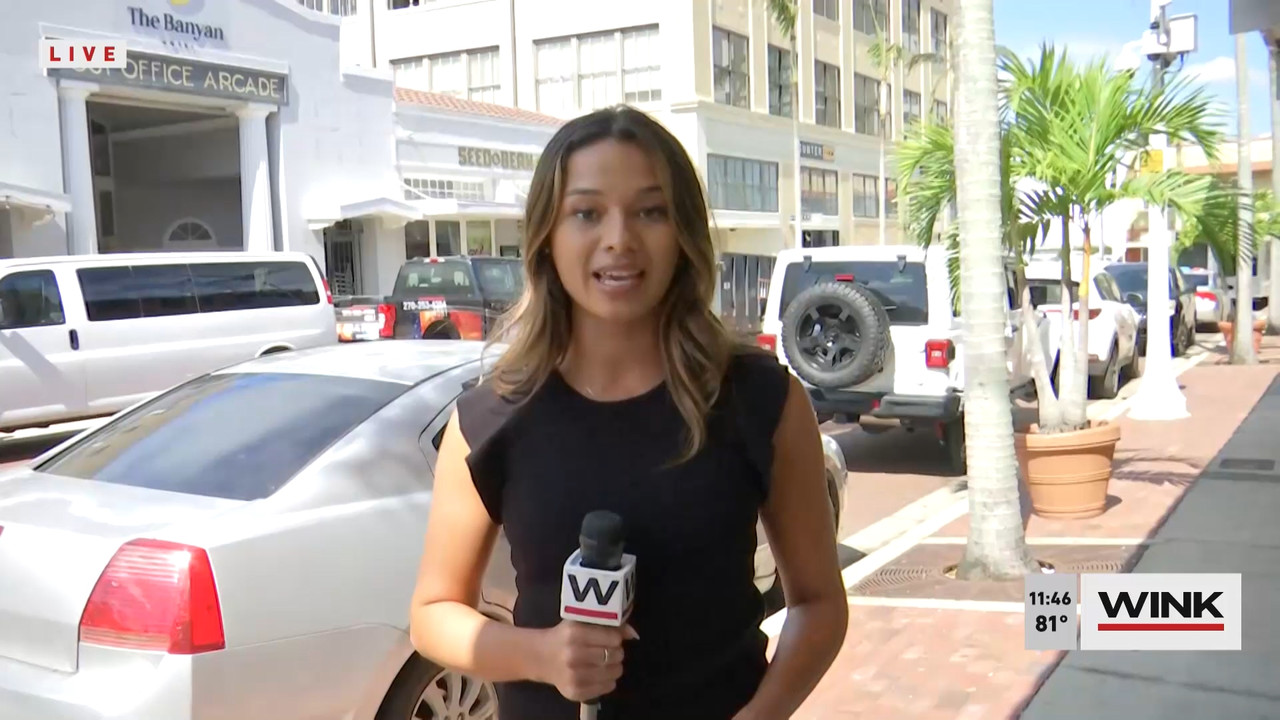 10.09 - 16.30.00 - WINK NEWS at 11 30am  ᴺᵉʷ. Midday news..ts_snapshot_23.22.393