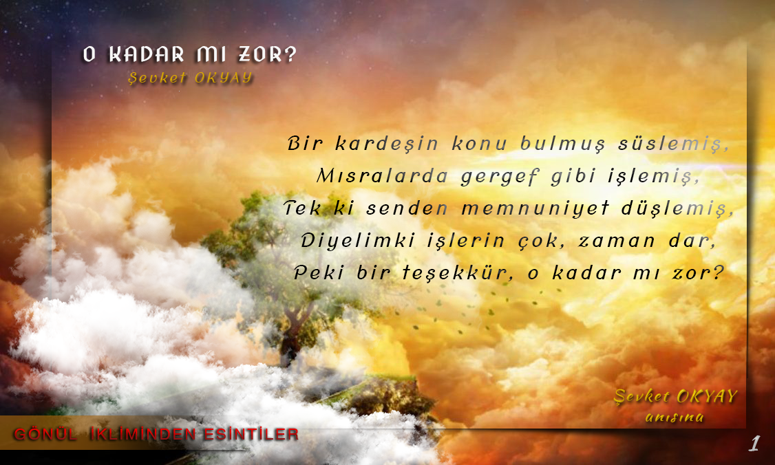 o-kadar-mi-zor-sevket-okyay-siirleri-1.png