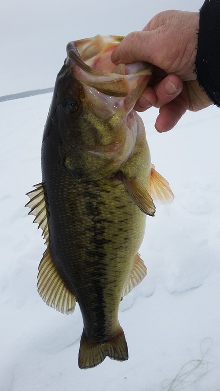 20190218_102106