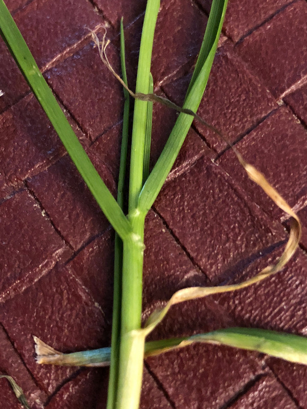 EDF3C9AC-AC68-4B32-8032-D659BBDA2B11