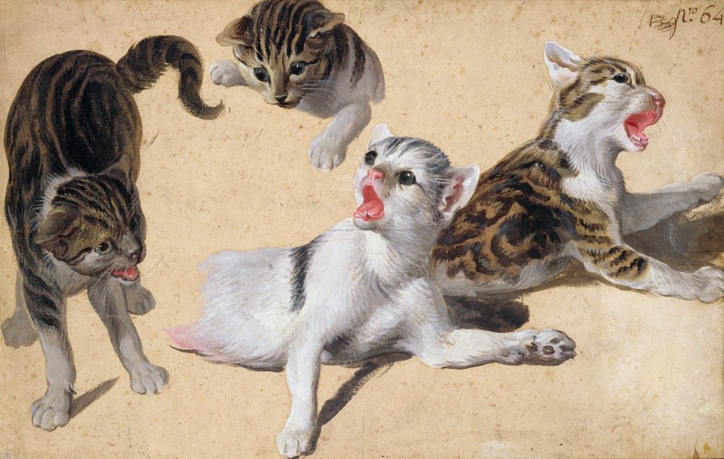 Alexandre-Francois-Desportes-Four-Studies-of-Kittens-oil-on-light-brown-paper-Meister-Drucke-2