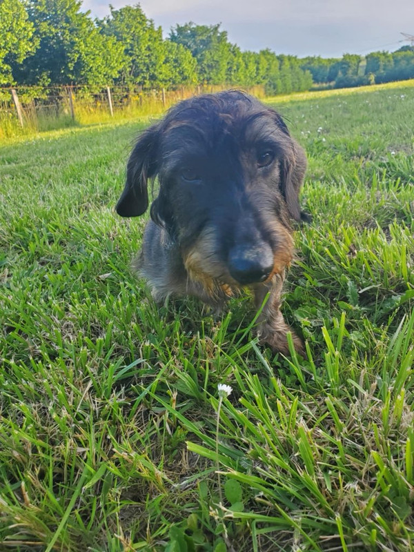 [Image: IMG-20241129-175449.jpg]