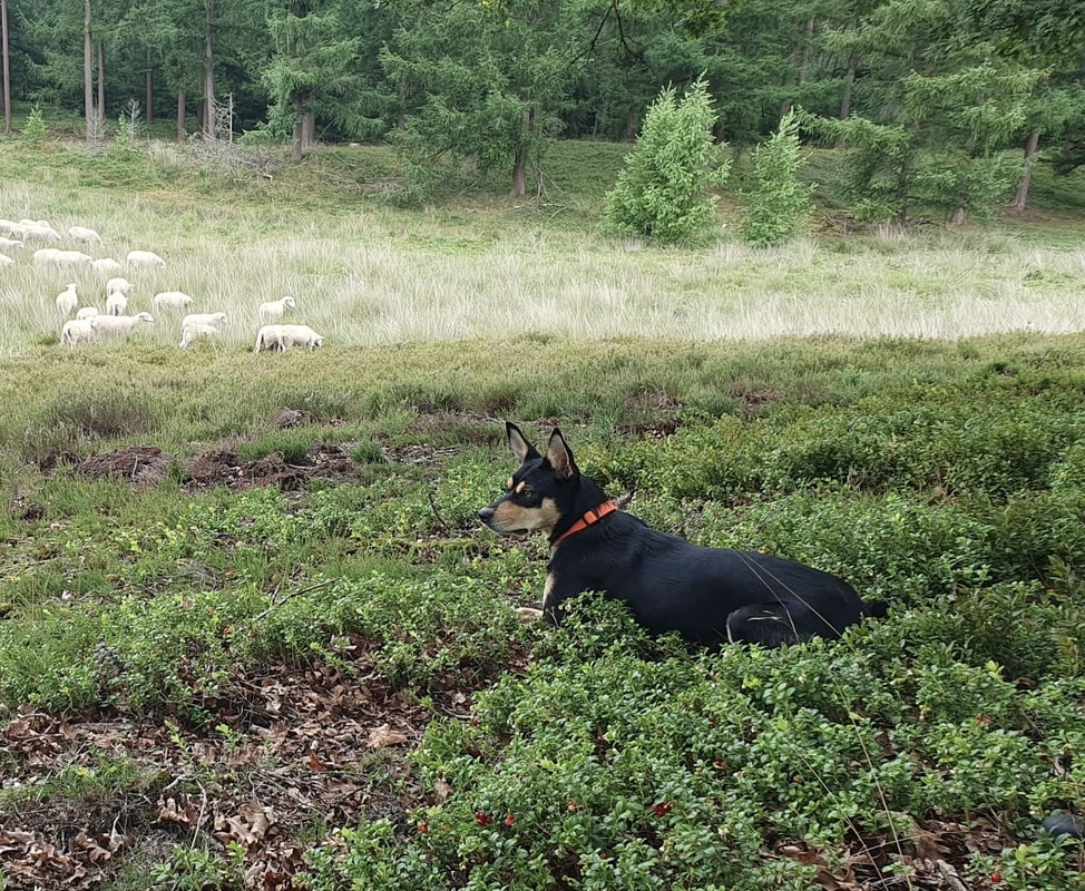 5d67476a-534f-4506-9810-10f45b5842b2