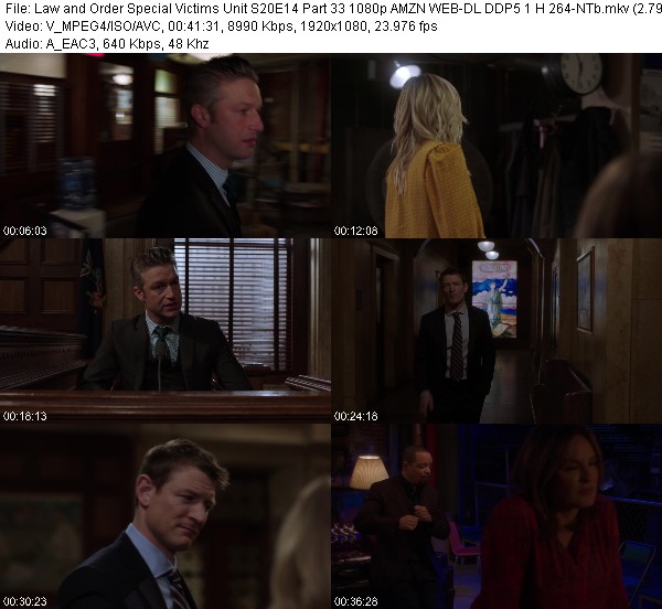 multi-law-and-order-special-victims-unit-s20e14-part-33-1080p-amzn