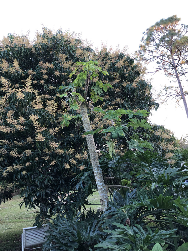 A99479BF-55CC-4742-9FA8-20B1DE1FB055