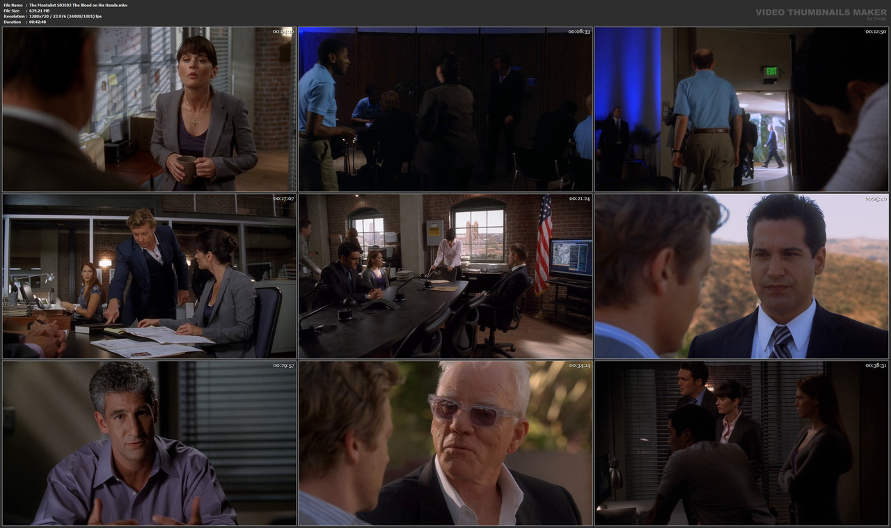 The Mentalist S03E03 The Blood on His Hands.mkv