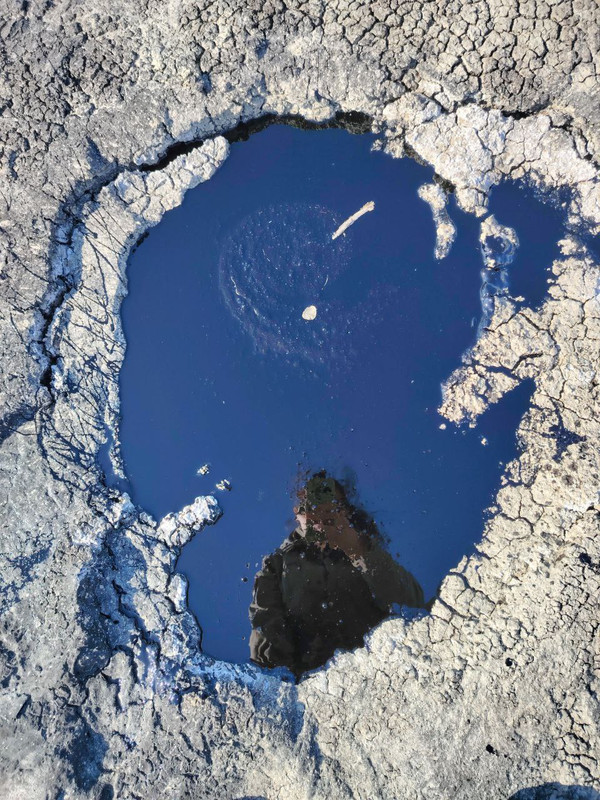 photo_2025-03-08_21-46-43 (2)