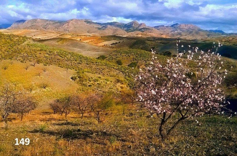 149 Chris POttle WP_20200119_11_56_48_Pro5