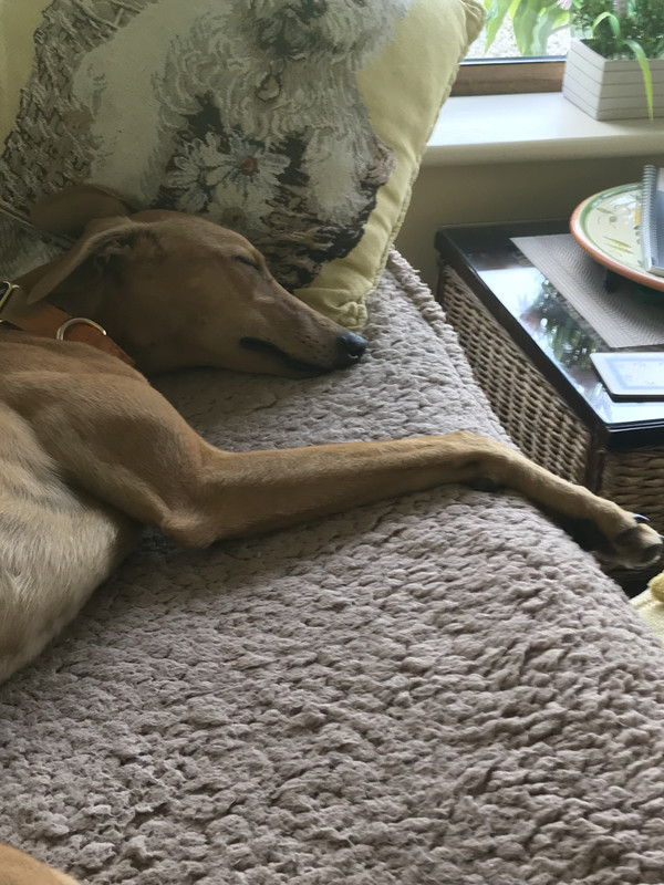 FFF25-A78-31-EB-4-CFF-9-DBA-19-F4-AFAE5-