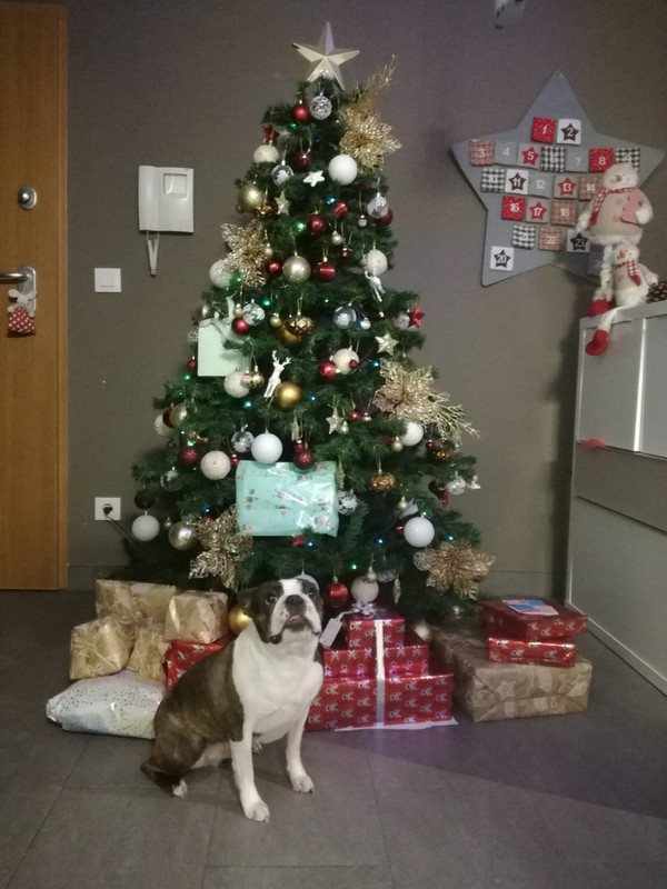 3BCF3132-9141-48AC-89B5-F81DD1C87E58