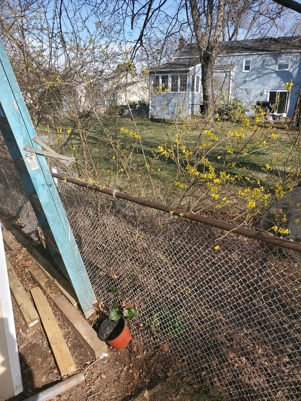 A8D9D3B6-354C-420D-81A9-D8427428357D