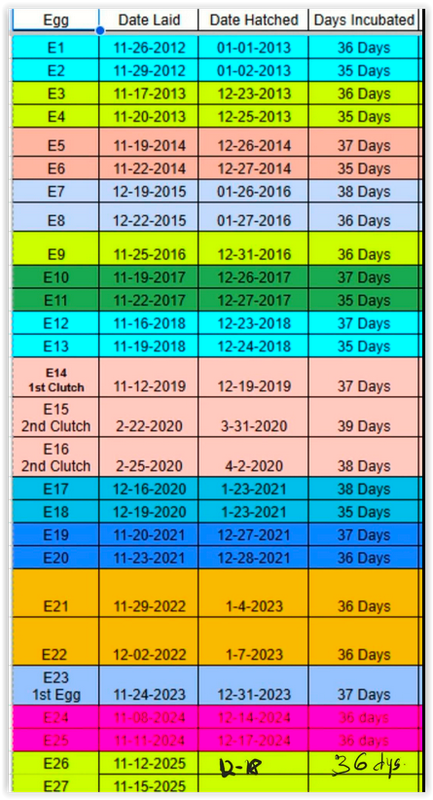 Screen Shot 12 22 25 at 09 38 AM