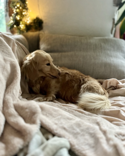 [Image: IMG-0081.jpg]