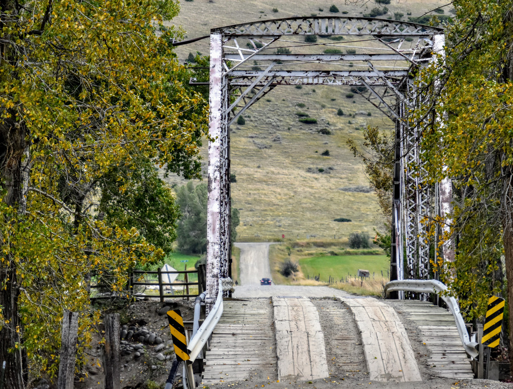 DSC_0002 (1)