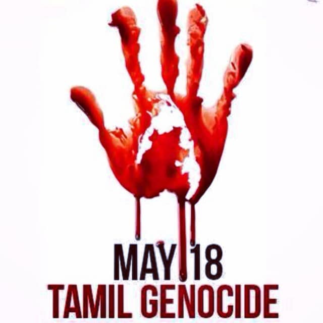 60405656-2529164497116857-12746776341056