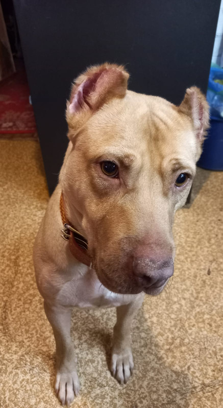 852E8E7E-B906-40D4-AC76-7B40389EBE0F