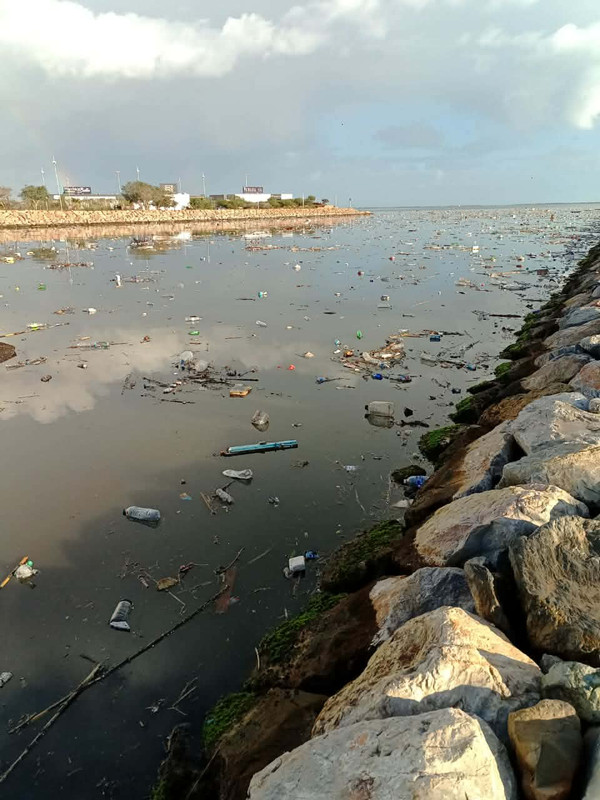 610874947-868237115800613-2361577065578324535-n