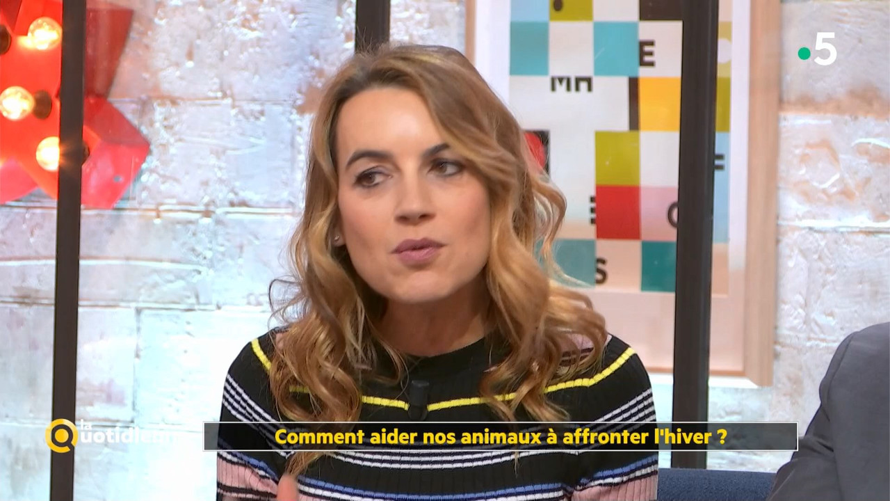 08 January - 10.45.00 - La quotidienne. Consommation solidaire e