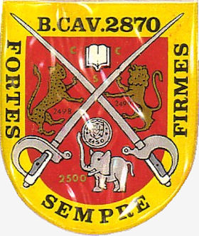 BCav2870-C