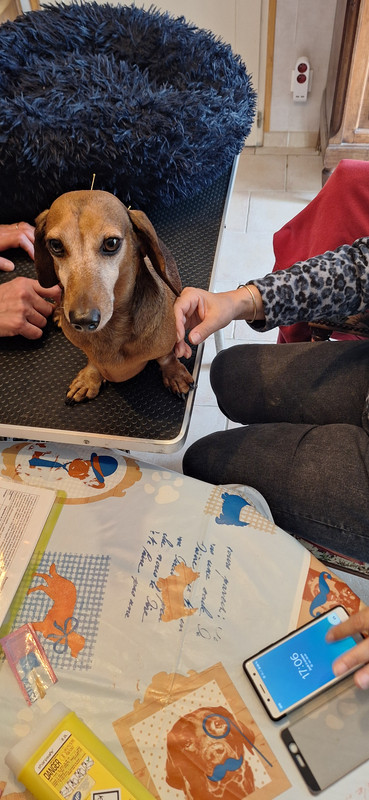 [Image: 20251002-170454.jpg]