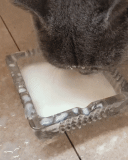 daily-gifdump-3400-24.gif