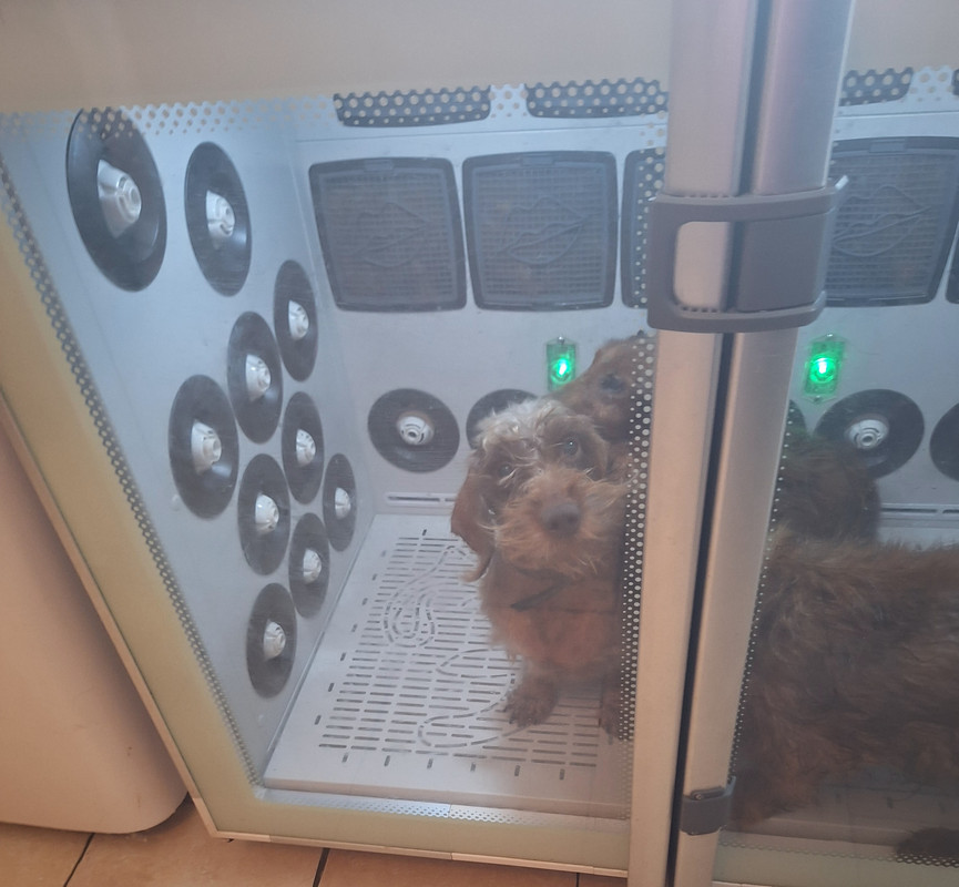 [Image: 20241107-120900.jpg]