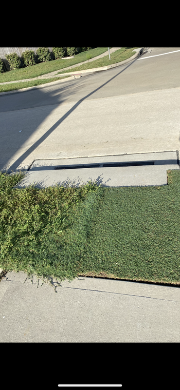 BDA83DC9-A572-4BCC-875E-282694ED1962