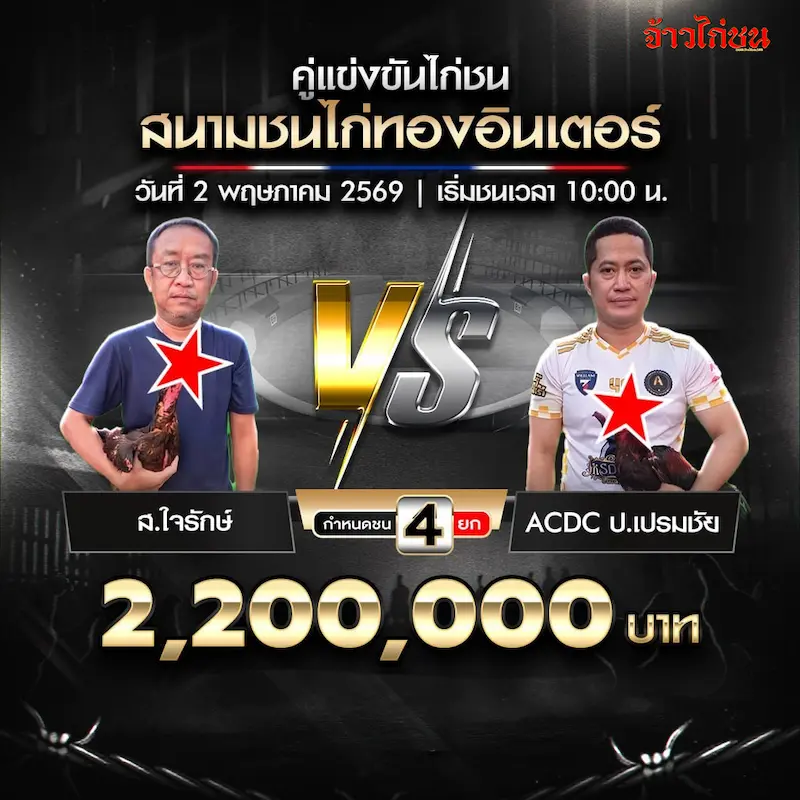 ส.ใจรักษ์ พบ ACDC ป.เปรมชัย สนามชนไก่ทองอินเตอร์ 2 พฤษภาคม 2569