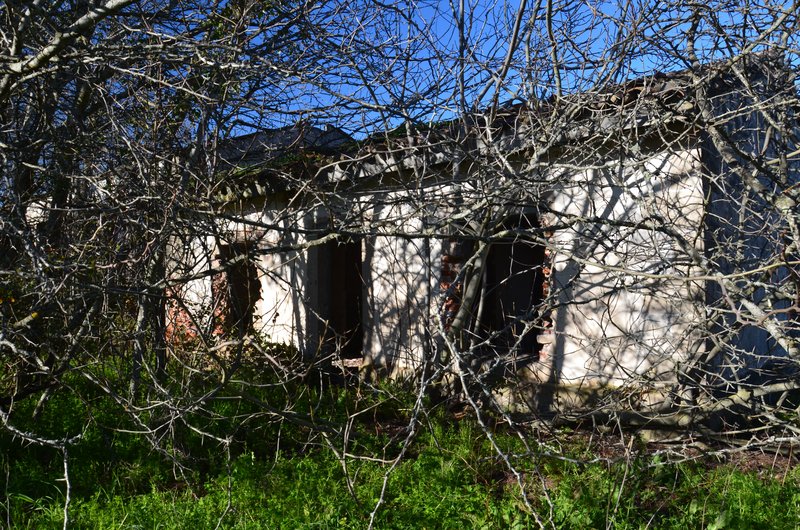 PARQUE NACIONAL DE MONFRAGÜE-2020/2023 - EXTREMADURA Y SUS PUEBLOS -2010-2023 (156)