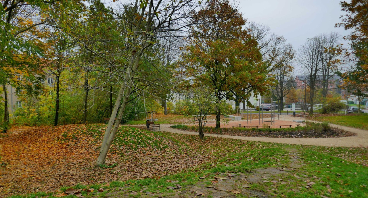 P1240594.jpg