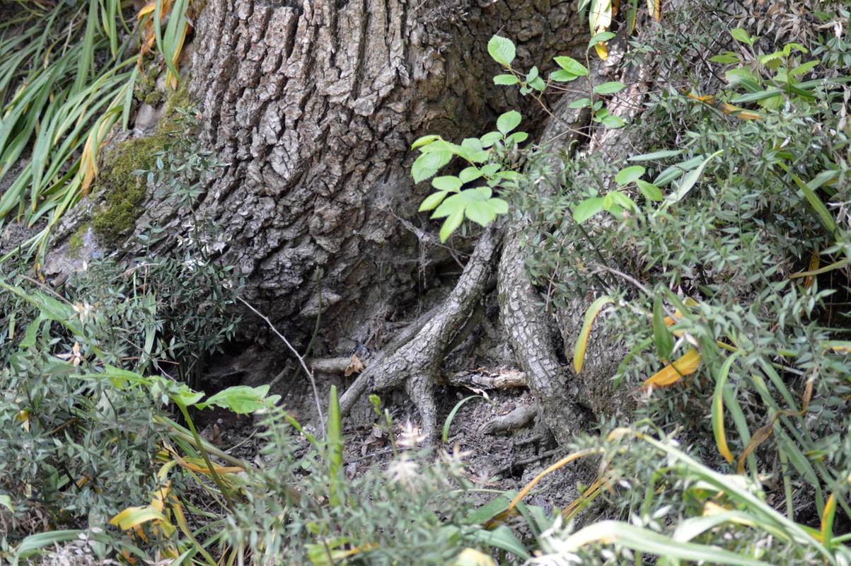 7aYNNDTTQ5OwIVMKELiuo4VslXh3Yh-SeLAhWn4yI9xuadIPy5bVMopYIlaxjY8r5P8G5wc2_VRMqPXmwjWtkOfh