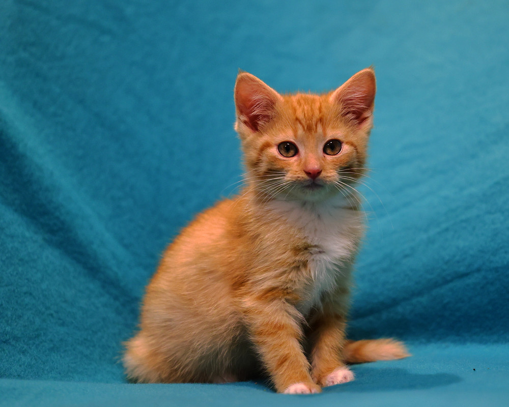 DABAFB48-E4C4-4C95-ABAF-C9AA4DE48157