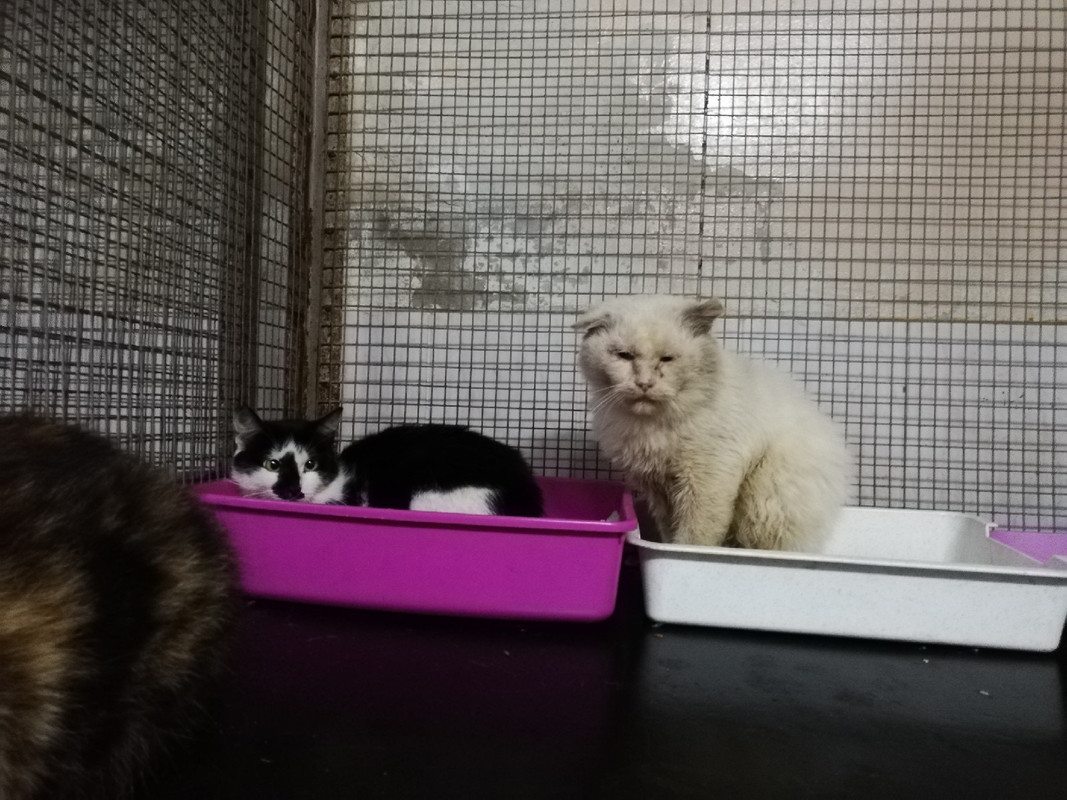 99745BB0-0FF5-4539-ABA8-343559C64399