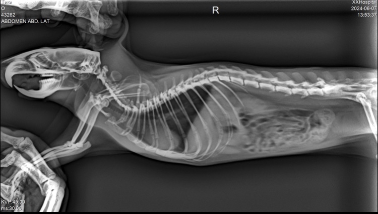 AECD2810-49E9-43FC-B172-EE487741CF54