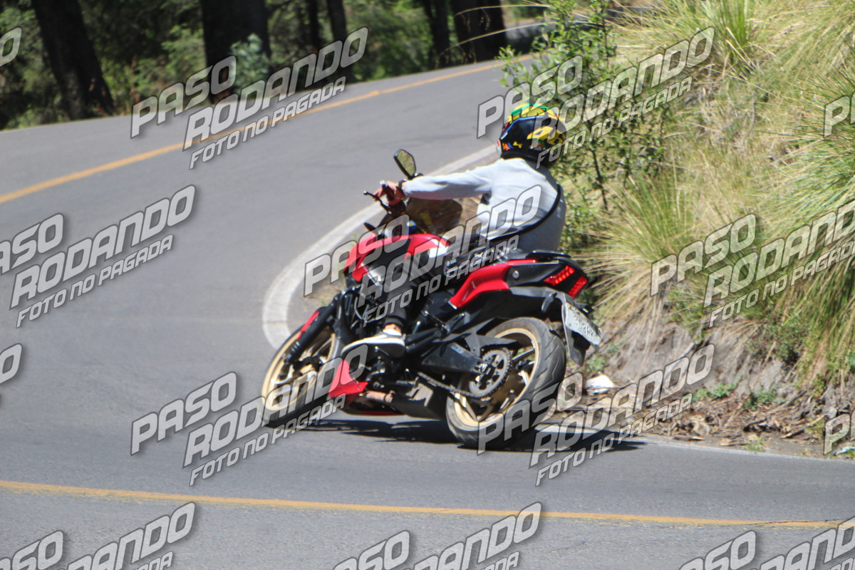IMG 5115 wm 67378 90000000037 watermarked — Postimages