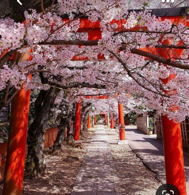 Screenshot_20230512_224131_Pinterest